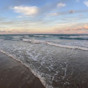 Meet your Posher, Casey